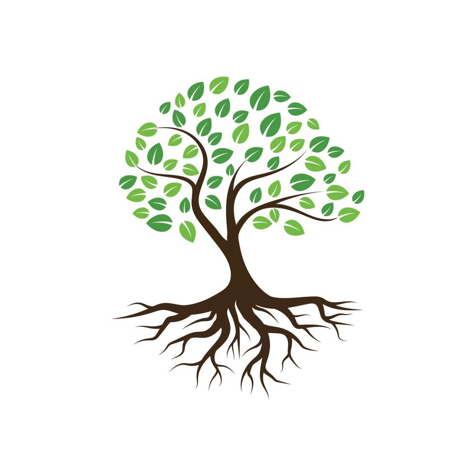 Logos of green Tree leaf ecology vector