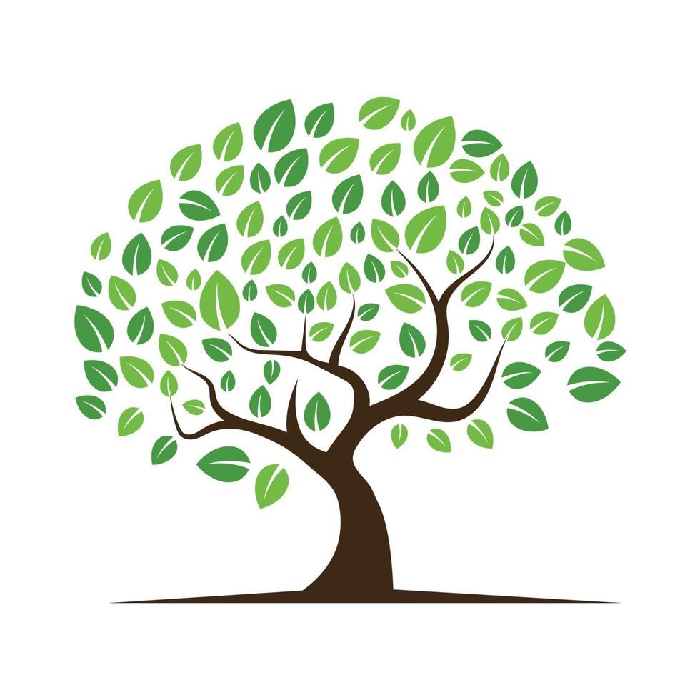 Logos of green Tree leaf ecology vector