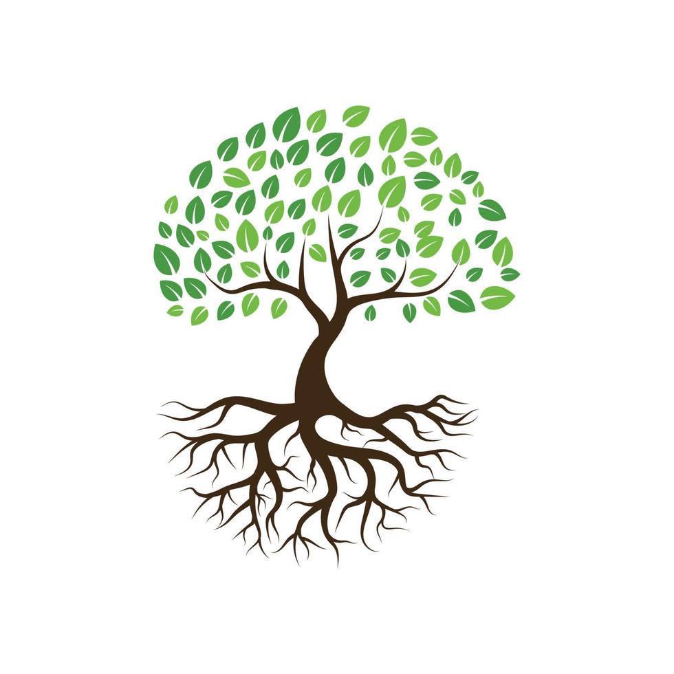 Logos of green Tree leaf ecology vector