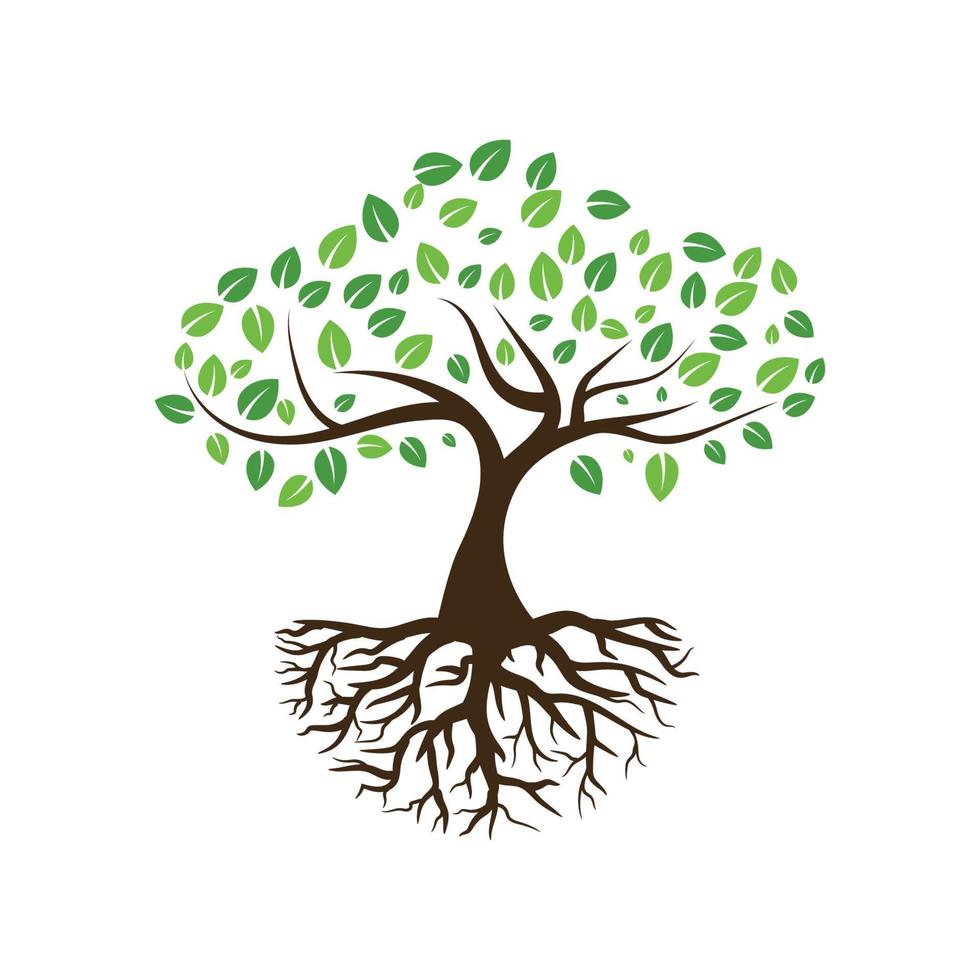Logos of green Tree leaf ecology vector