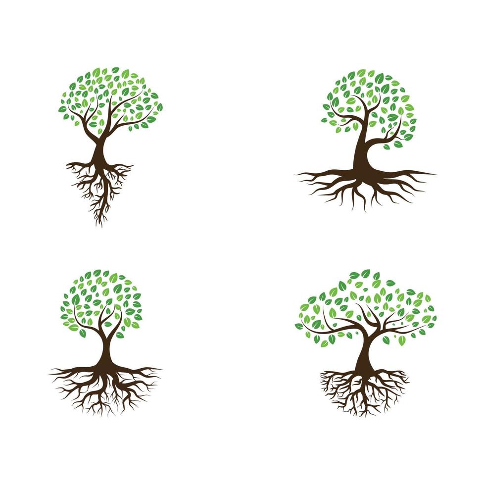 Logos of green Tree leaf ecology vector