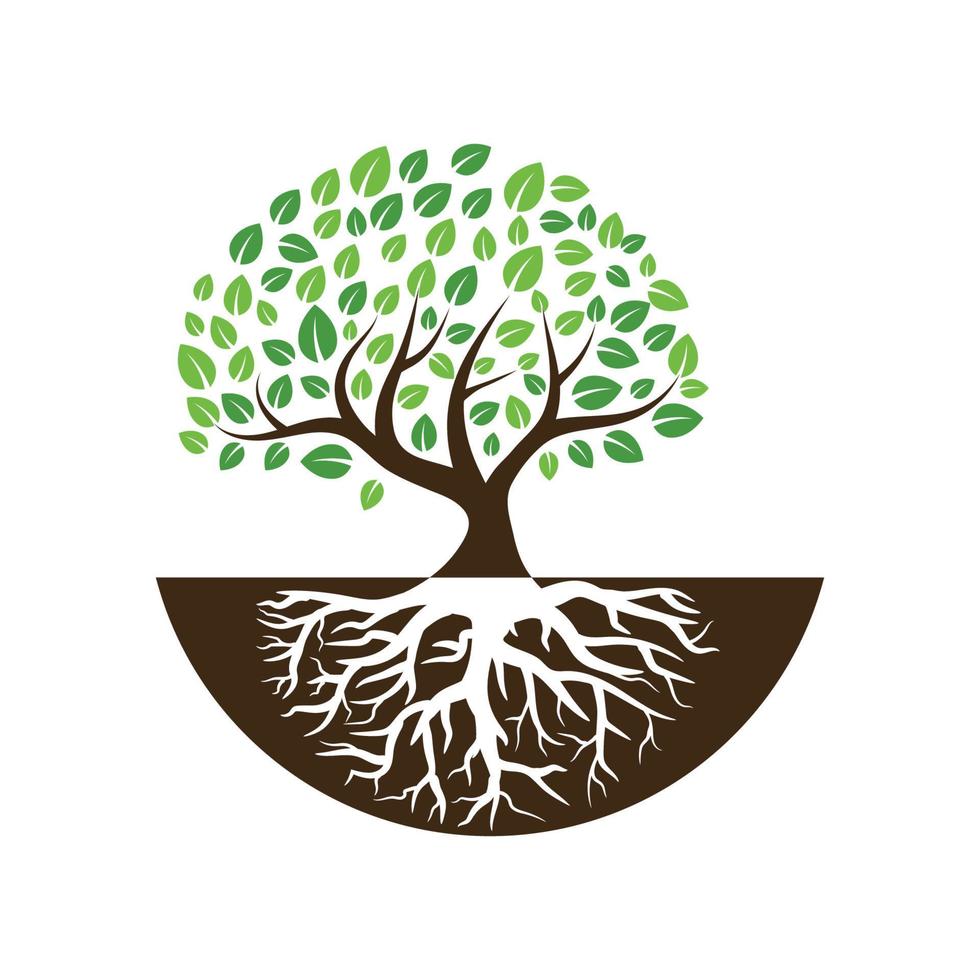 Logos of green Tree leaf ecology vector
