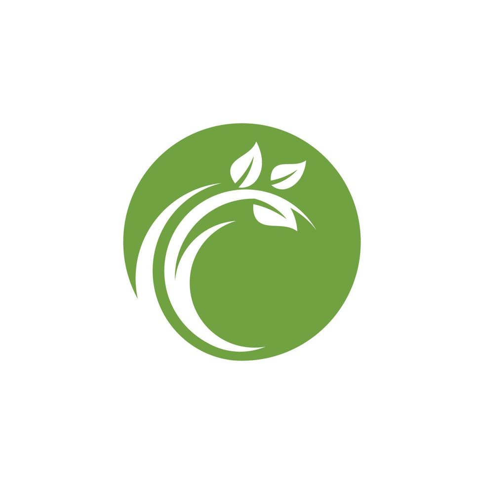 logotipos de la ecología de la hoja del árbol verde vector