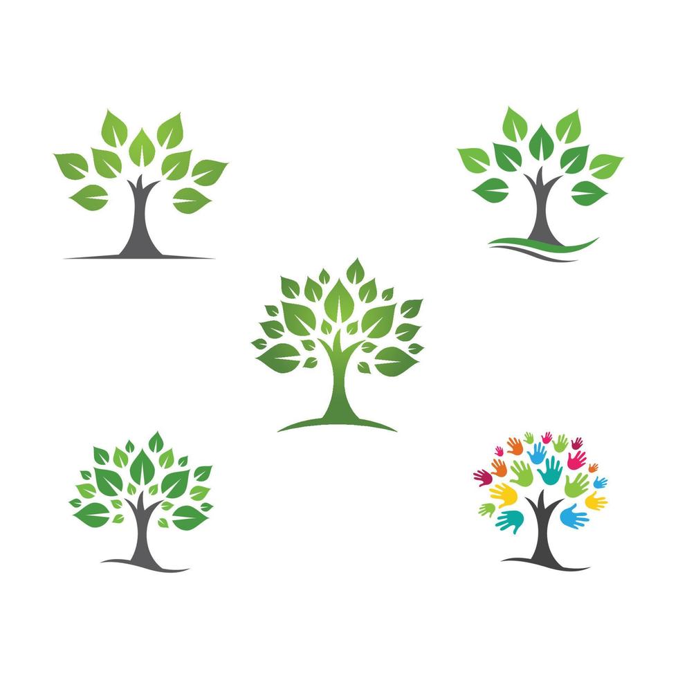 Tree branch vector ilustration design