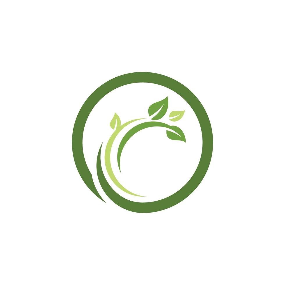 logotipos de la ecología de la hoja del árbol verde vector