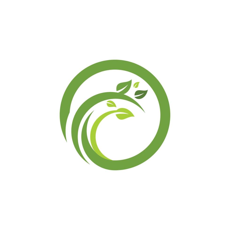 Logos of green Tree leaf ecology vector