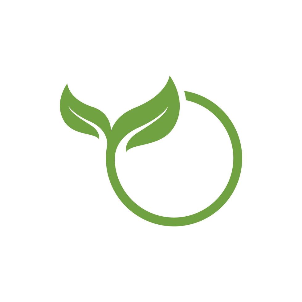 logotipos de la ecología de la hoja del árbol verde vector