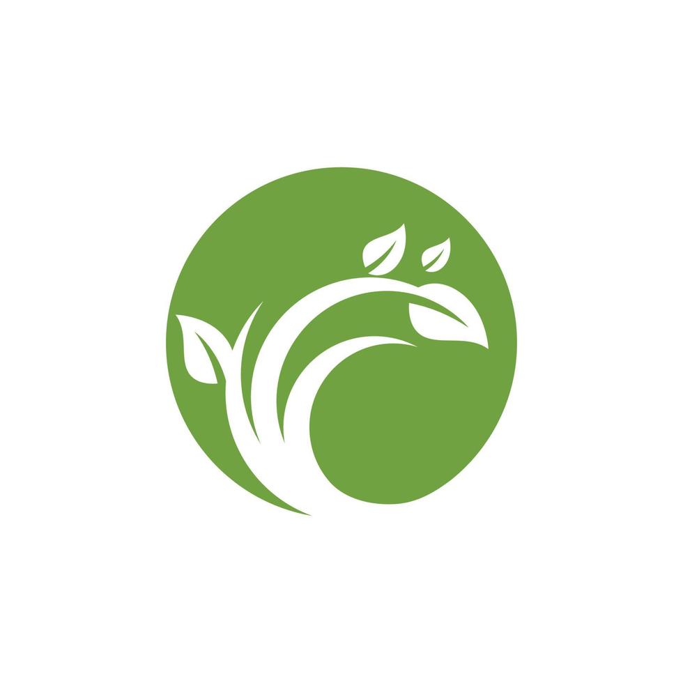 logotipos de la ecología de la hoja del árbol verde vector