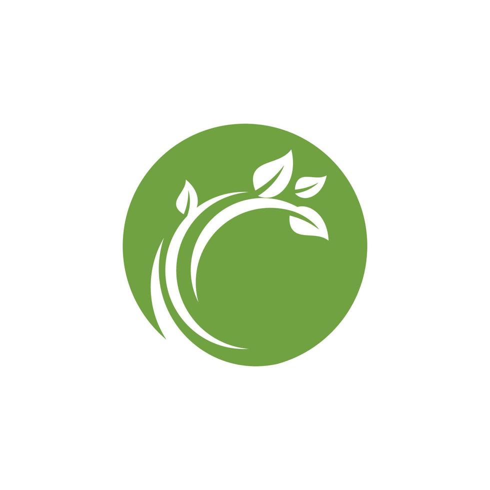 logotipos de la ecología de la hoja del árbol verde vector