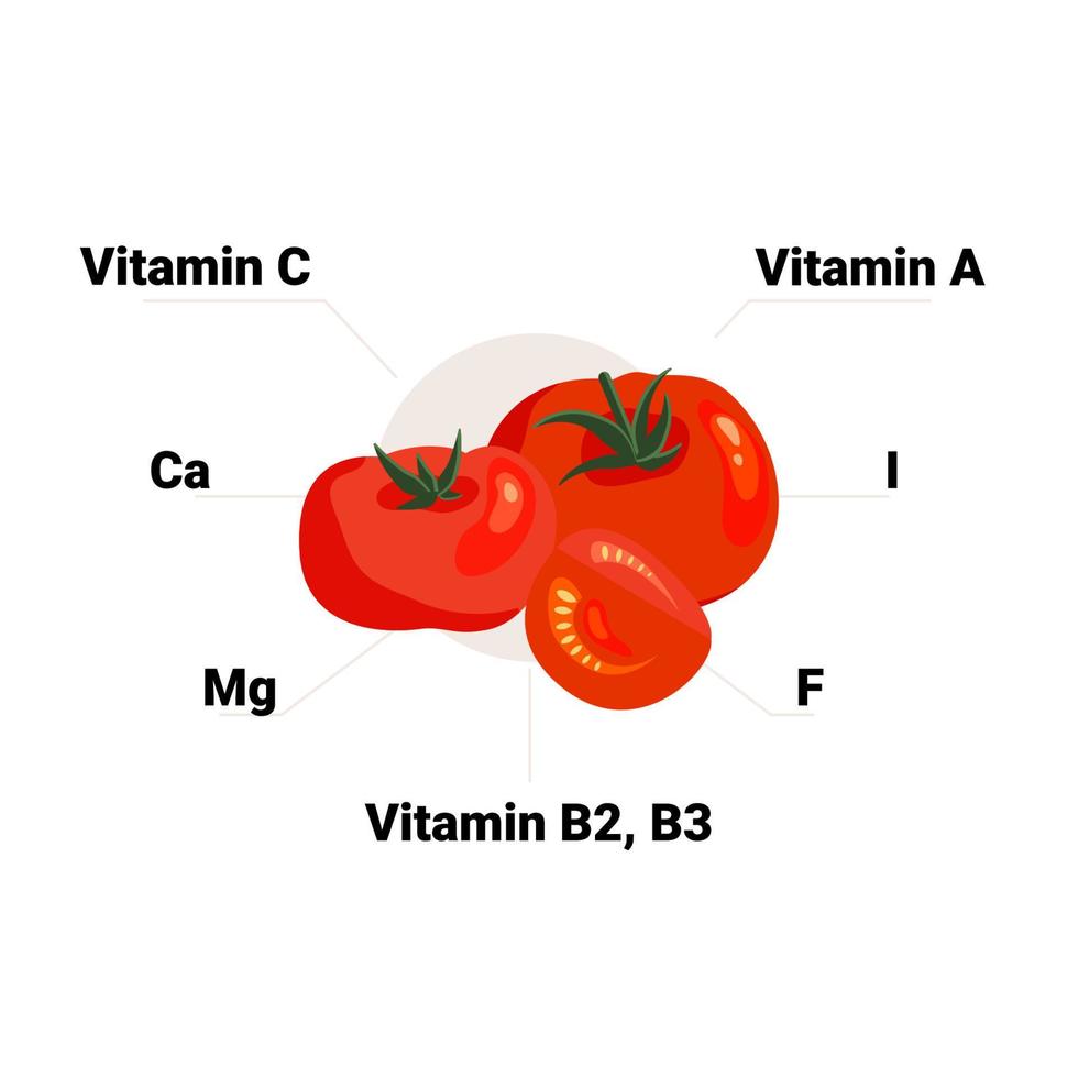 Vector tomato with its vitamins and minerals. Educational health benefits poster, illustration.