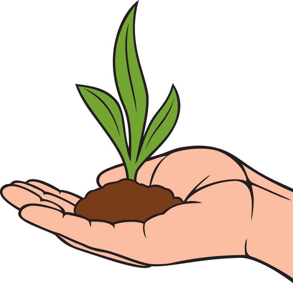 Hand Holding Plant with Leaves. Vector illustration.