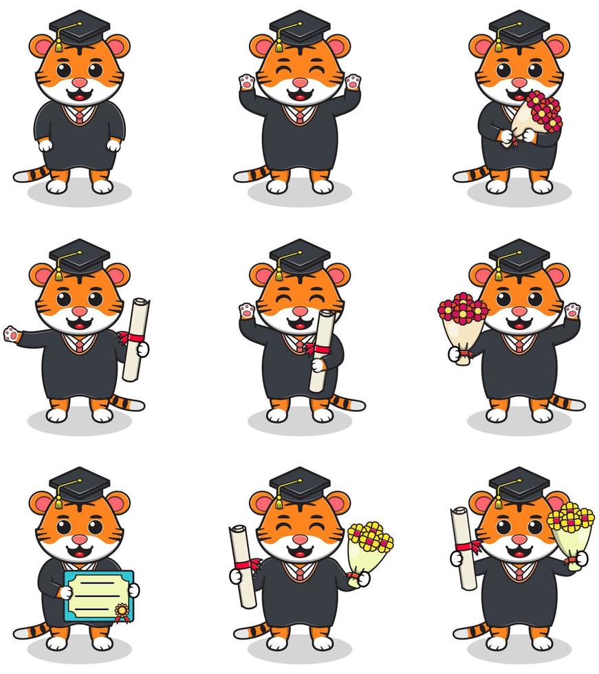 Cute cartoon Tiger in graduate hat on white background. Vector Set of Cute Graduation Themed Tiger. Illustration symbol mascot character animal. Design flat cartoon.