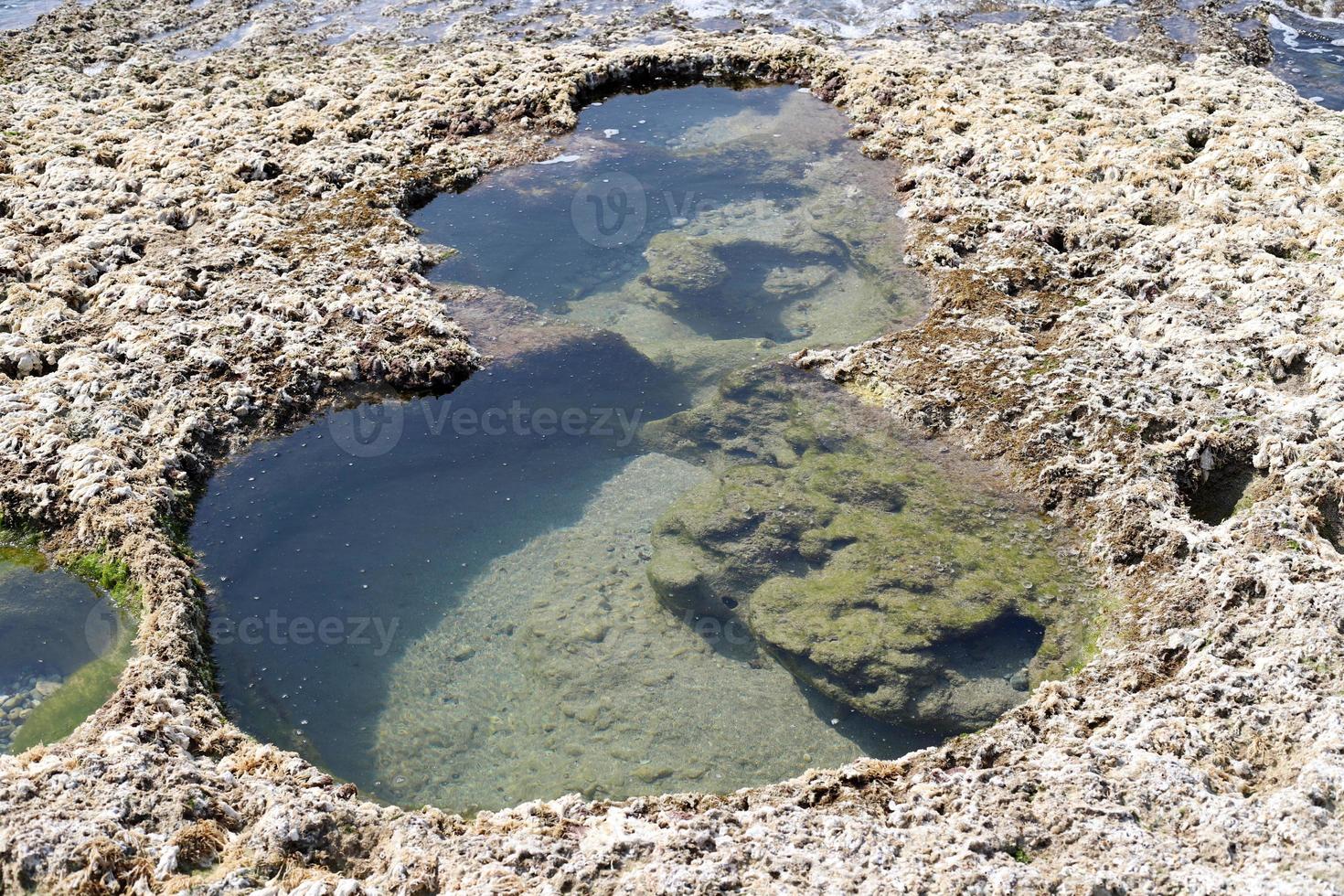Rocky shore of the Mediterranean Sea in northern Israel. photo