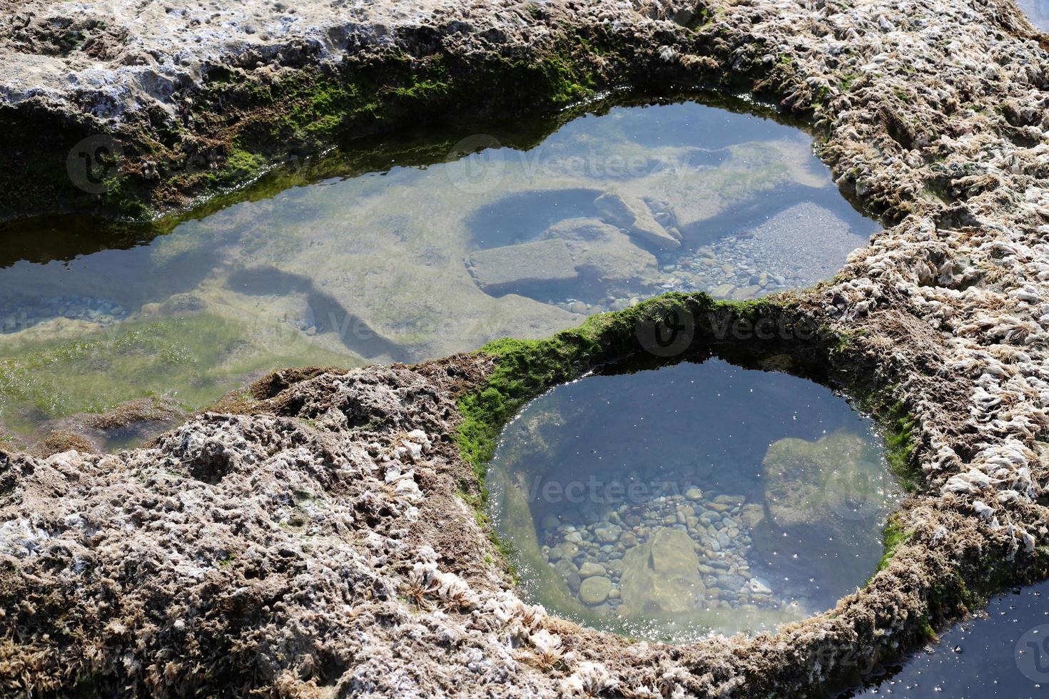 Rocky shore of the Mediterranean Sea in northern Israel. photo