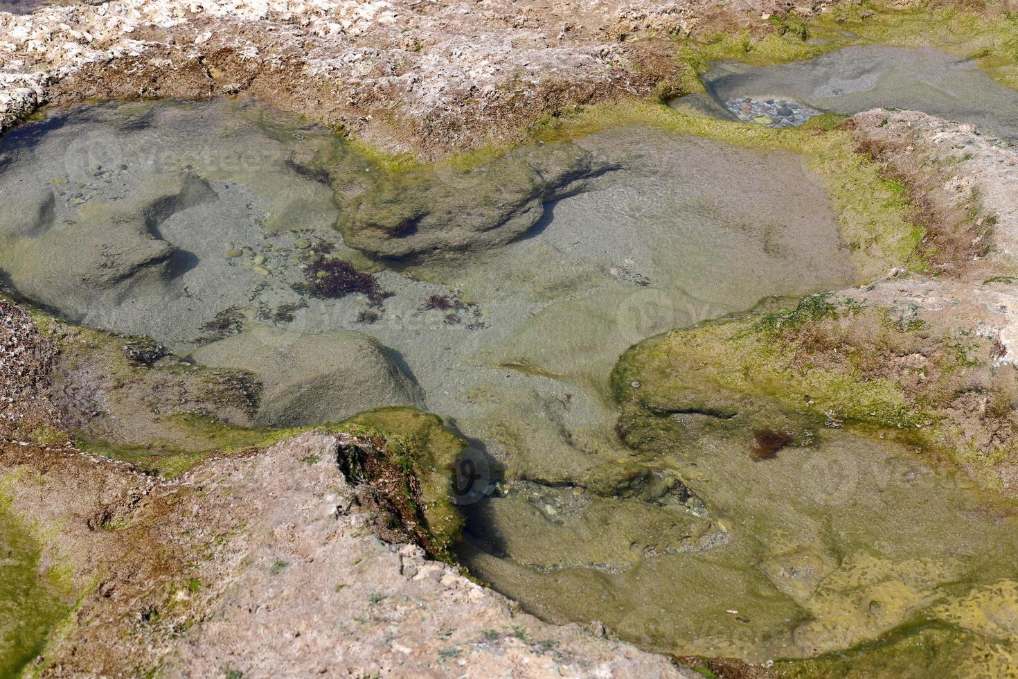 Rocky shore of the Mediterranean Sea in northern Israel. photo