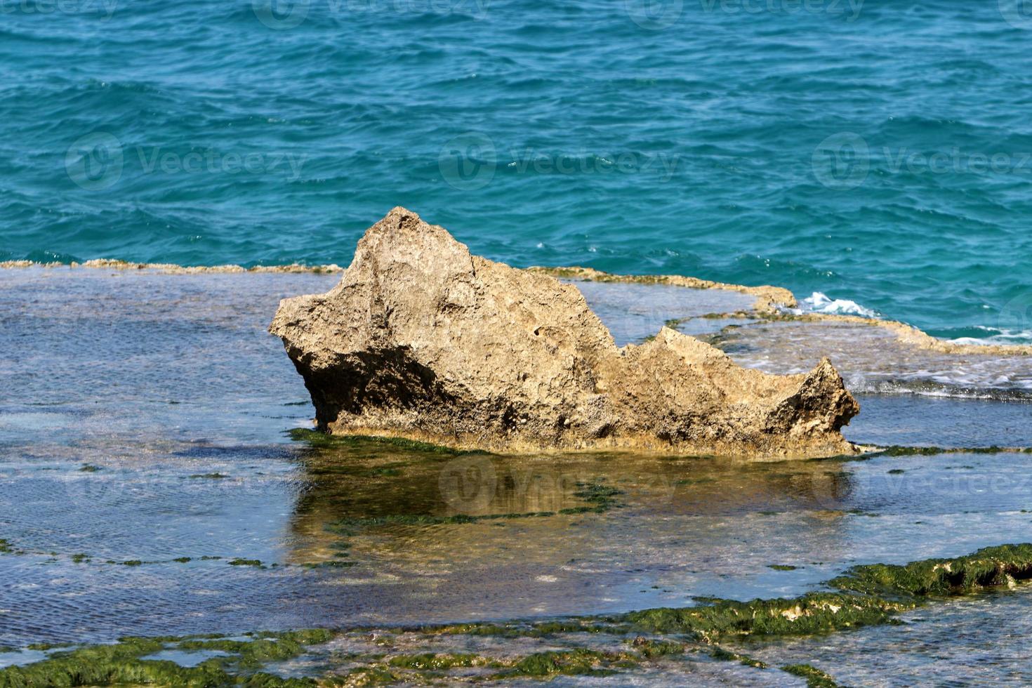 Rocky shore of the Mediterranean Sea in northern Israel. photo