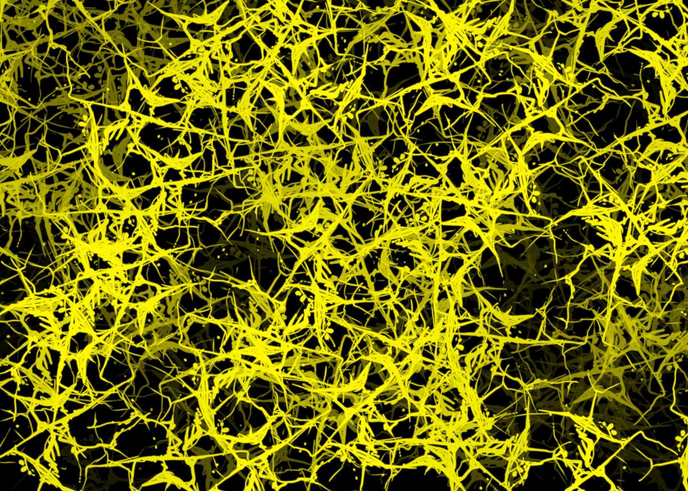 Yellow Cracked Effects Texture Background photo