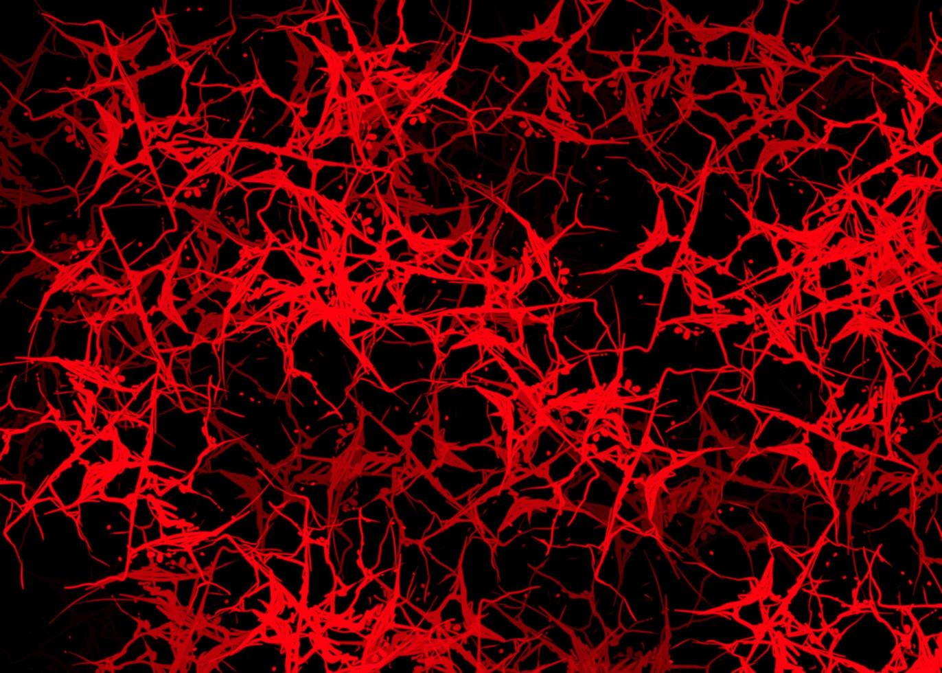 Red Cracked Effects Texture Background photo