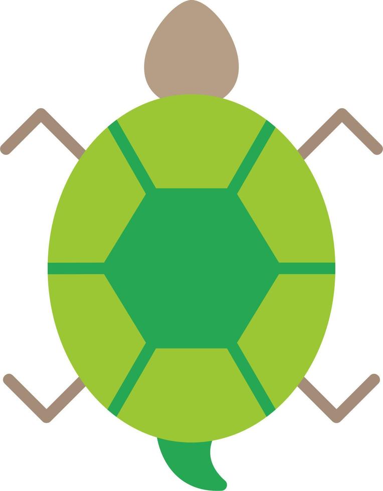 Turtle Vector Icon