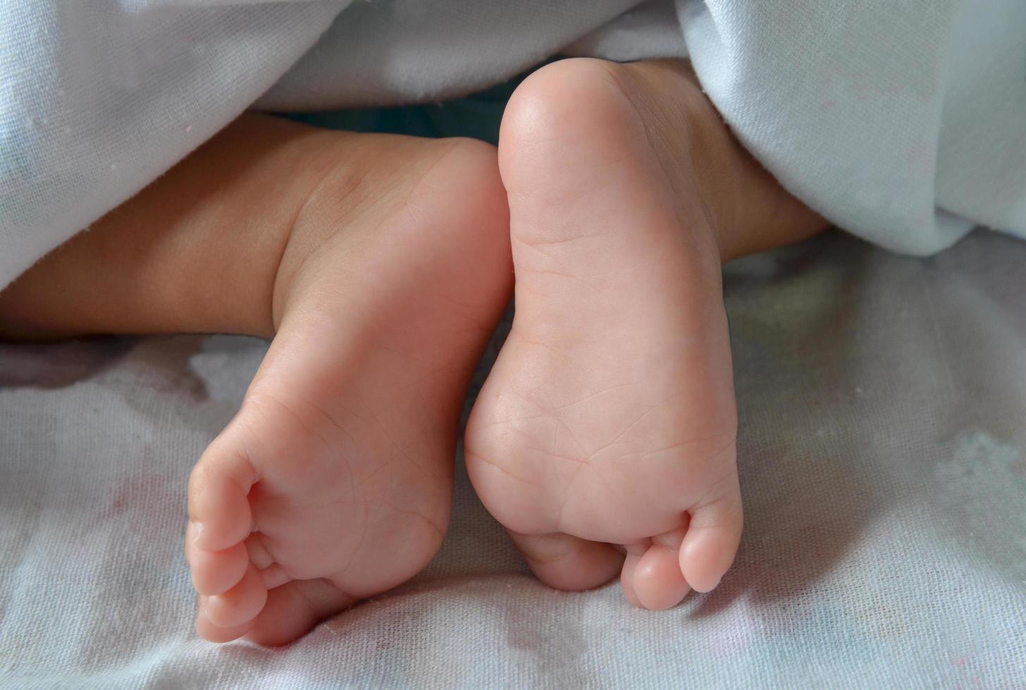 close up of newborn feet photo