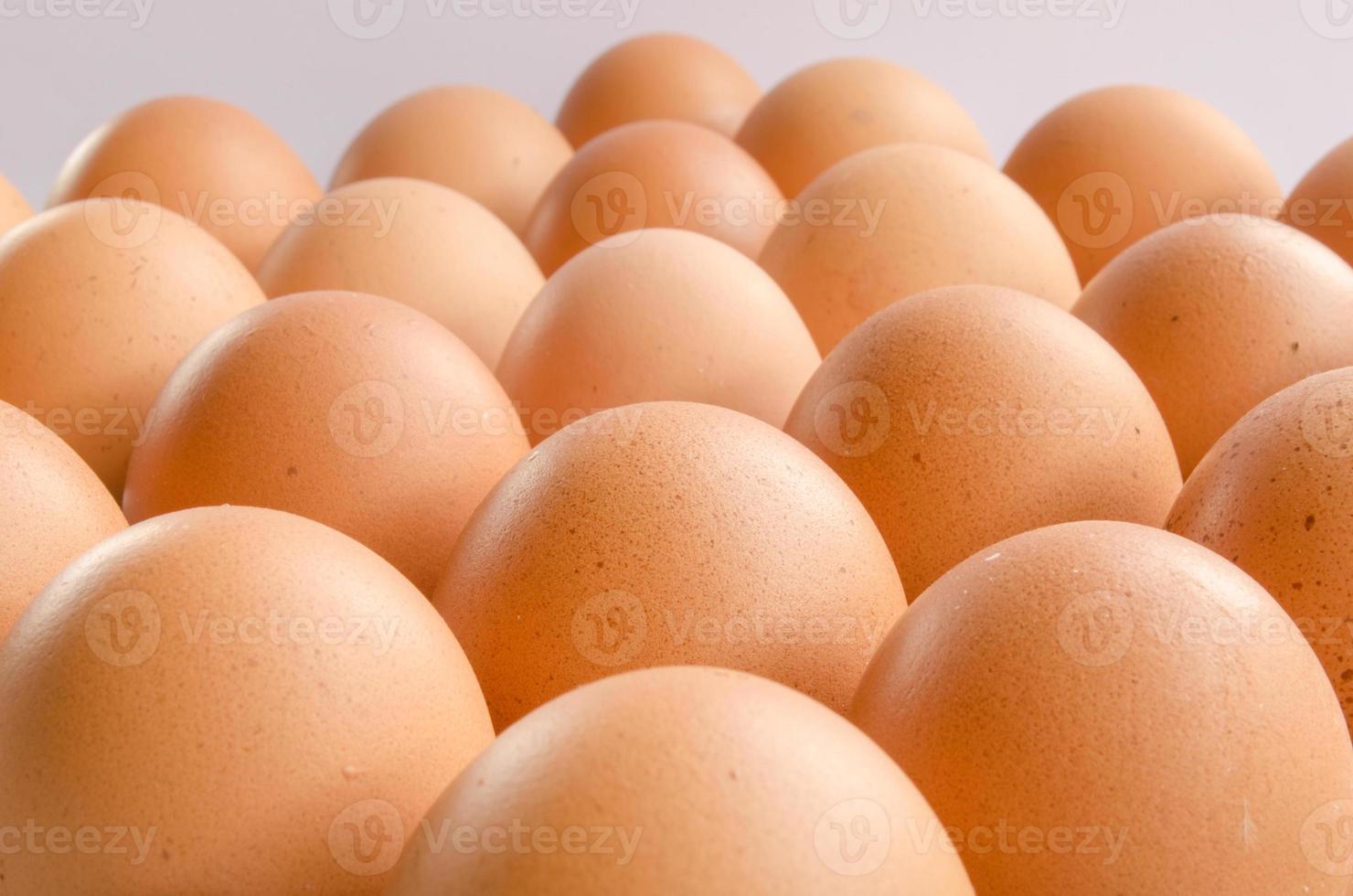 group of eggs 20877116 Stock Photo at Vecteezy