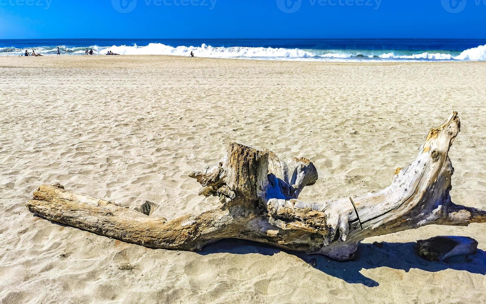 Beautiful pacific beach with washed up tree trunk wood Mexico. photo