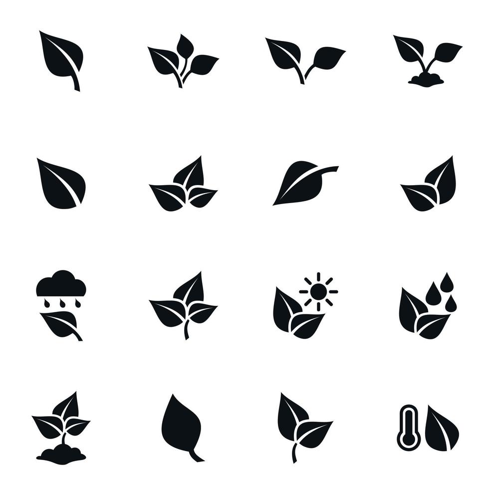 Set of icons on the theme of leaves. Vector illustration