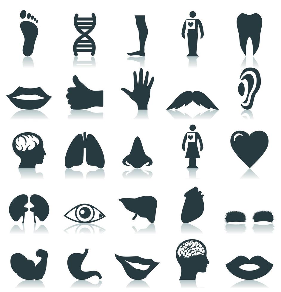 Set of icons on a theme of a part of a body. A vector illustration