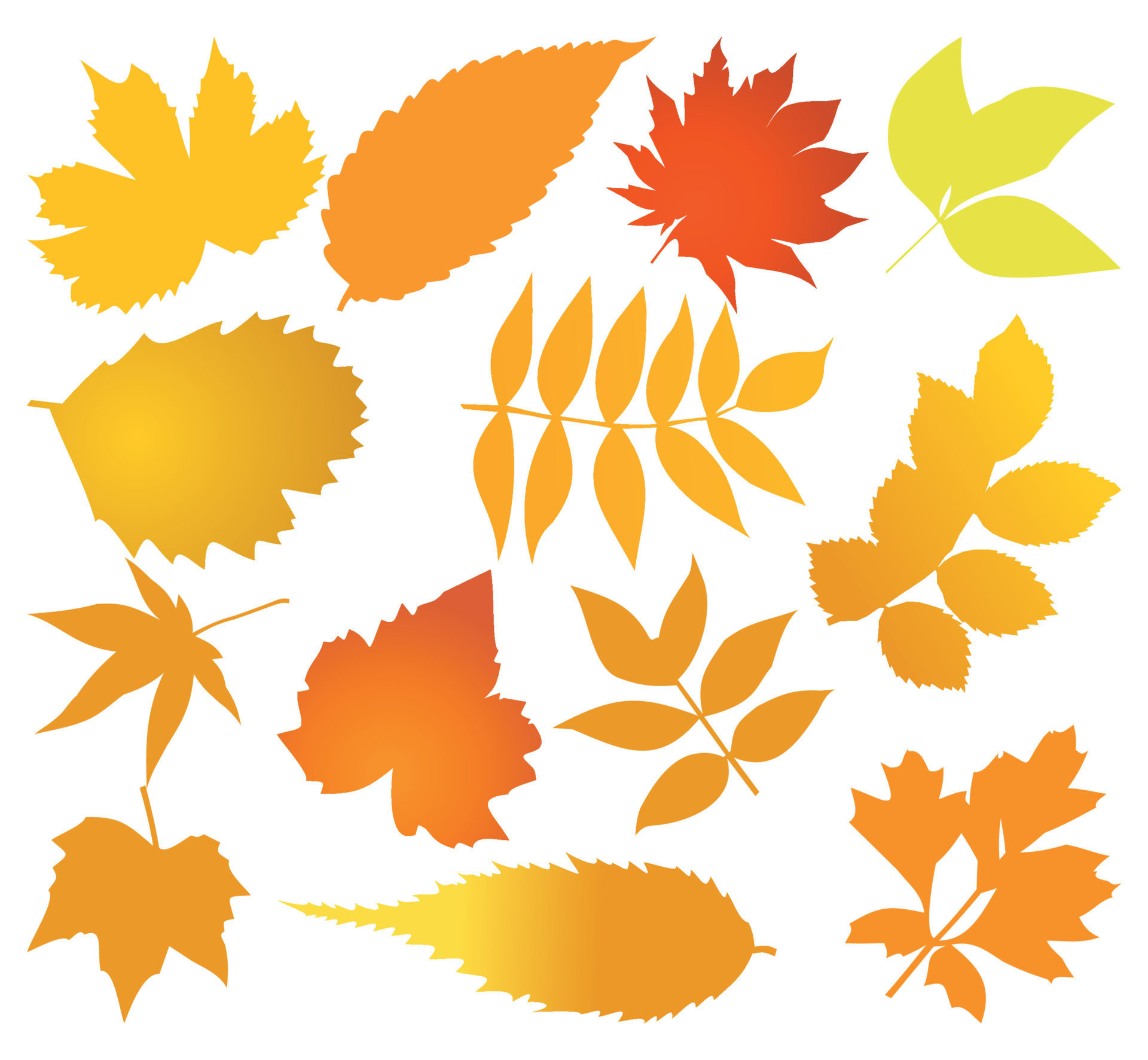 The Price List For Sale In The Form Of Leaf A Vector Illustration 