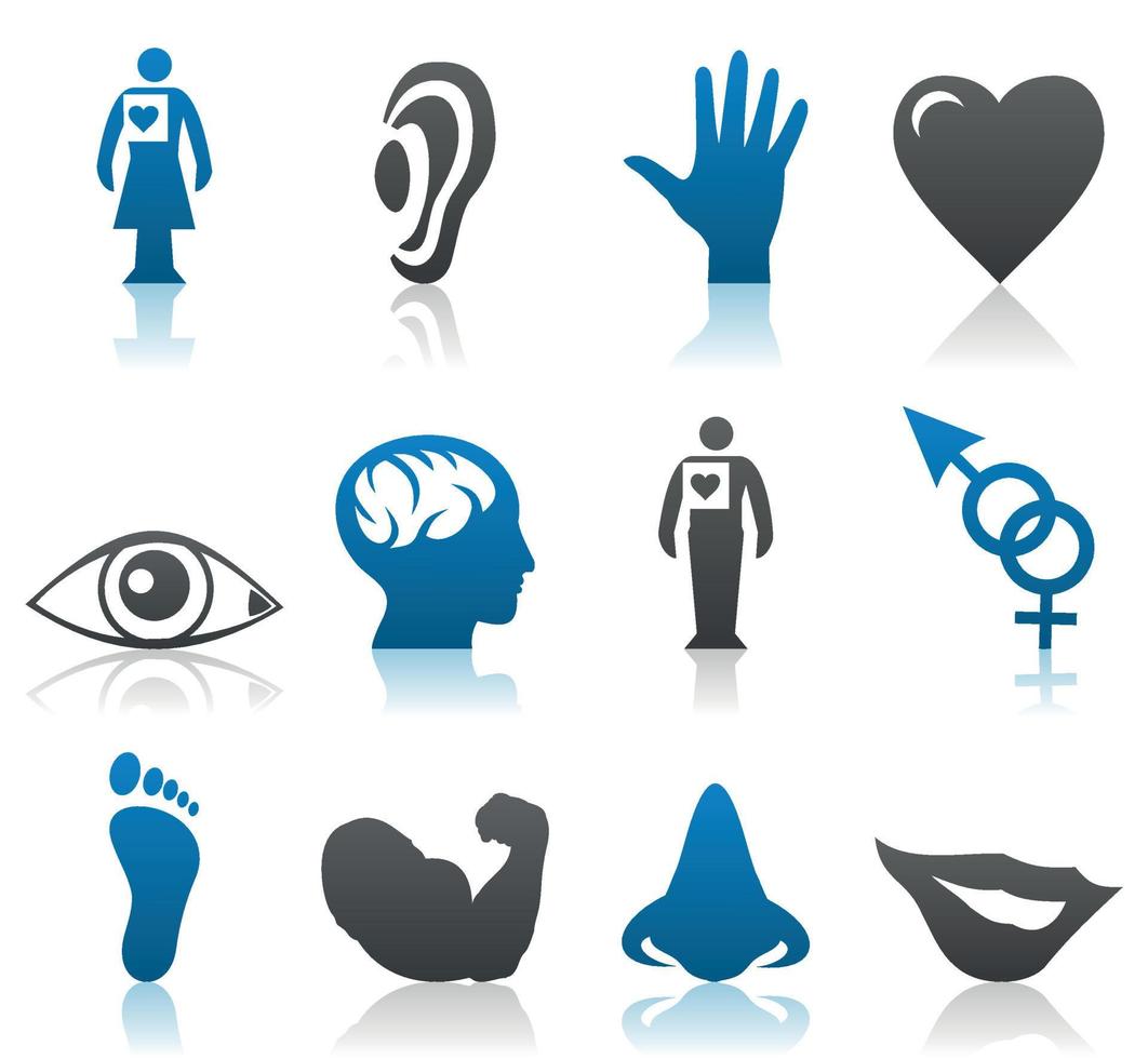 Set of icons on a theme of a part of a body. A vector illustration