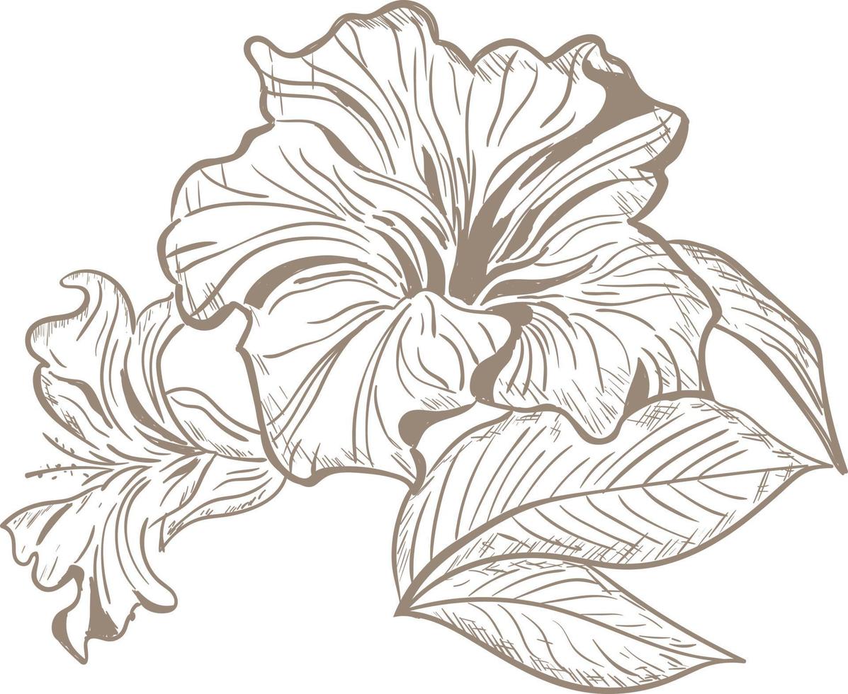 belleza hoja y flor ilustración vector diseño