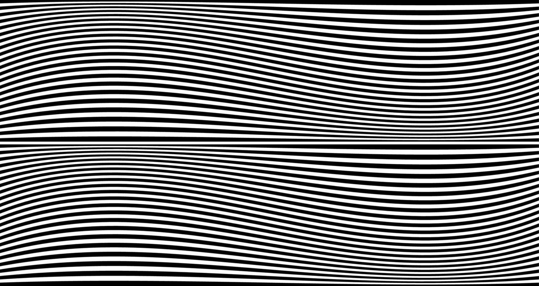 Black wavy stripes banner. Psychedelic Africa zebra lines. Abstract pattern. Texture with wavy stripy curves. Optical art background. Wave black and white design, Vector illustration hypnotic template