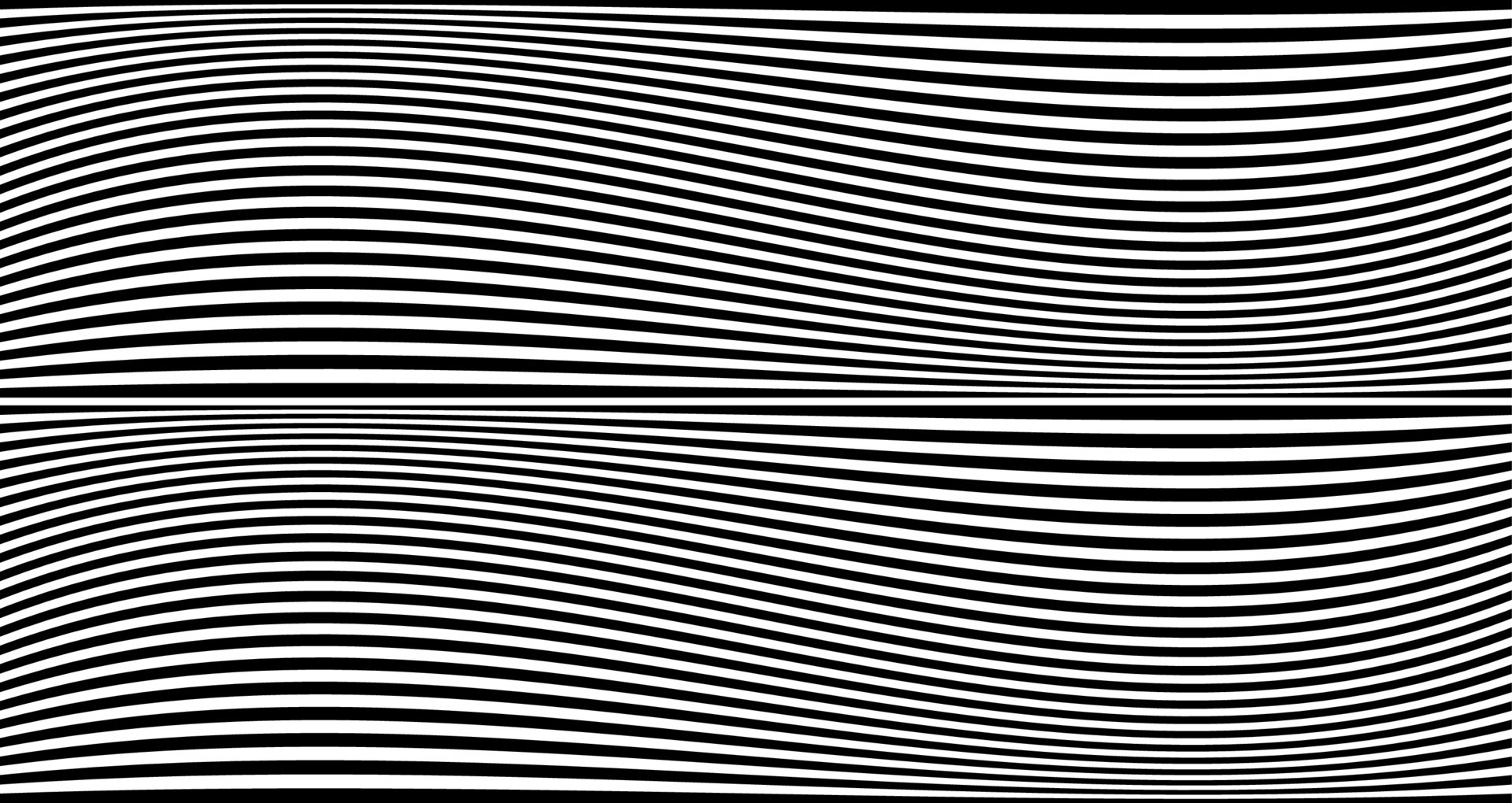 Black wavy stripes banner. Psychedelic Africa zebra lines. Abstract