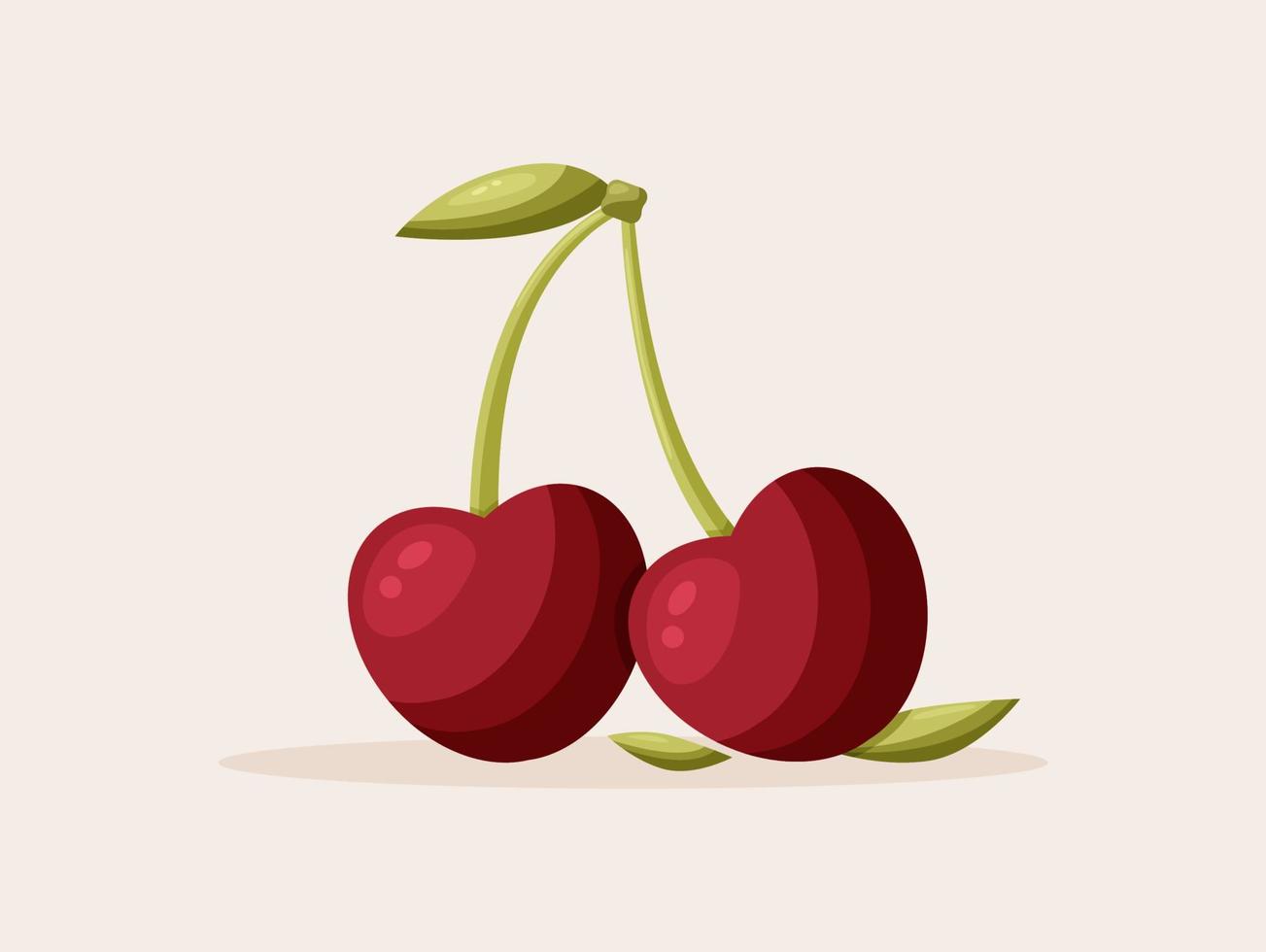 Fresh cartoon red pair cherries vector