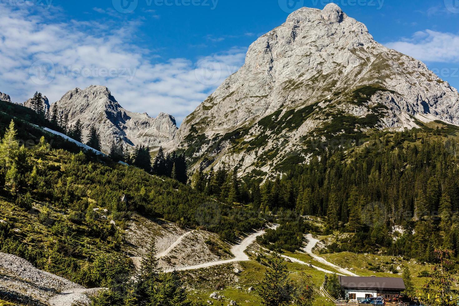 idílico paisaje en el Alpes con Fresco verde prados, floreciente flores, típico granjas y nevado montaña tapas en el fondo, parque Nacional berchtesgadener tierra, baviera, Alemania foto