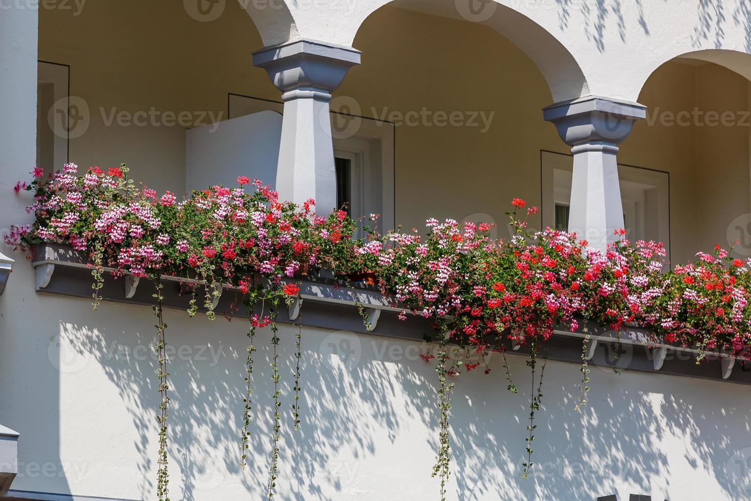 beautiful old villa with hanging plants from the balcony, photo