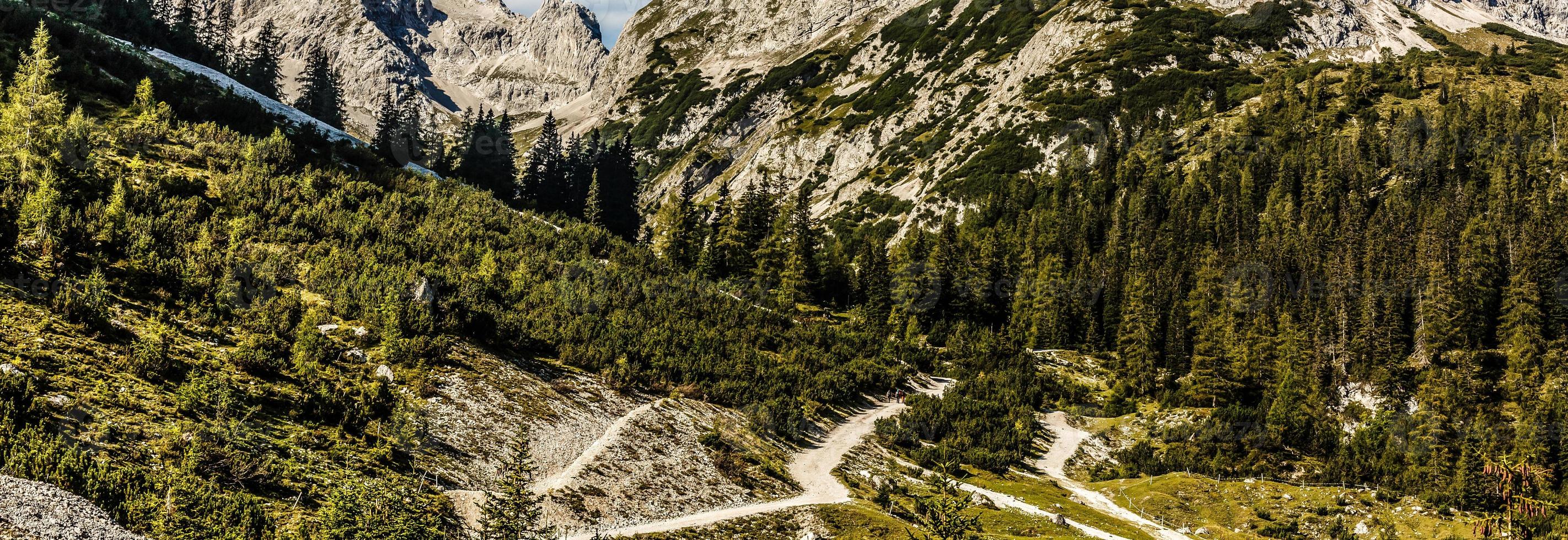 idílico paisaje en el Alpes con Fresco verde prados, floreciente flores, típico granjas y nevado montaña tapas en el fondo, parque Nacional berchtesgadener tierra, baviera, Alemania foto