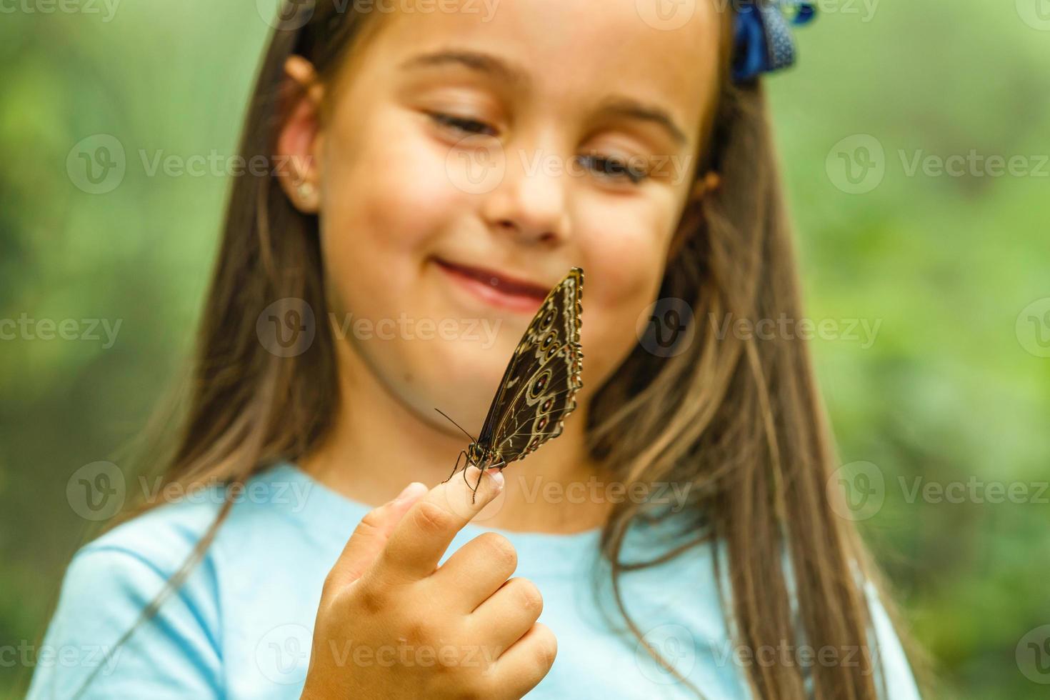 mariposa a mano en la selva la belleza de la naturaleza foto