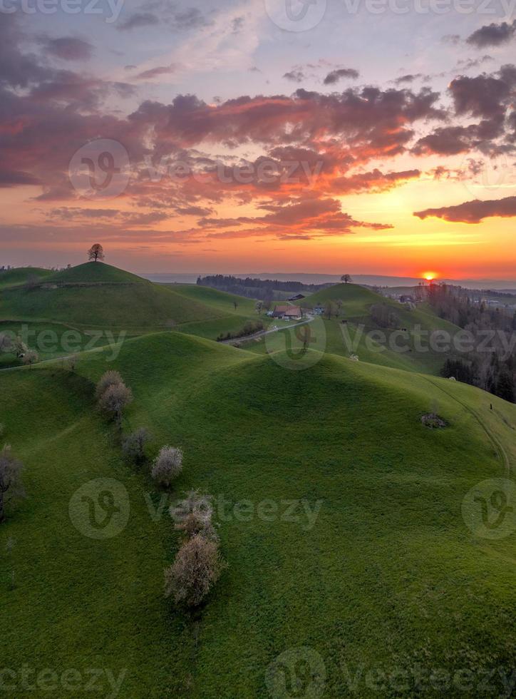 Hill landscape in switzerland during sunset, on each hill there is a tree photo