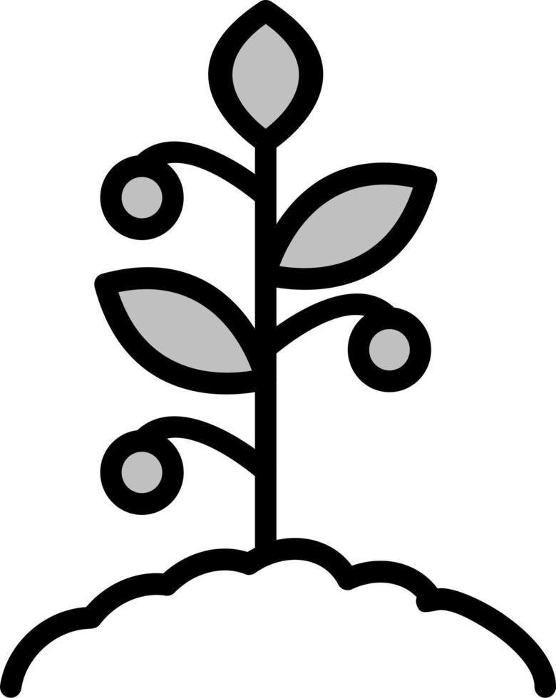 Tomato Vector Icon