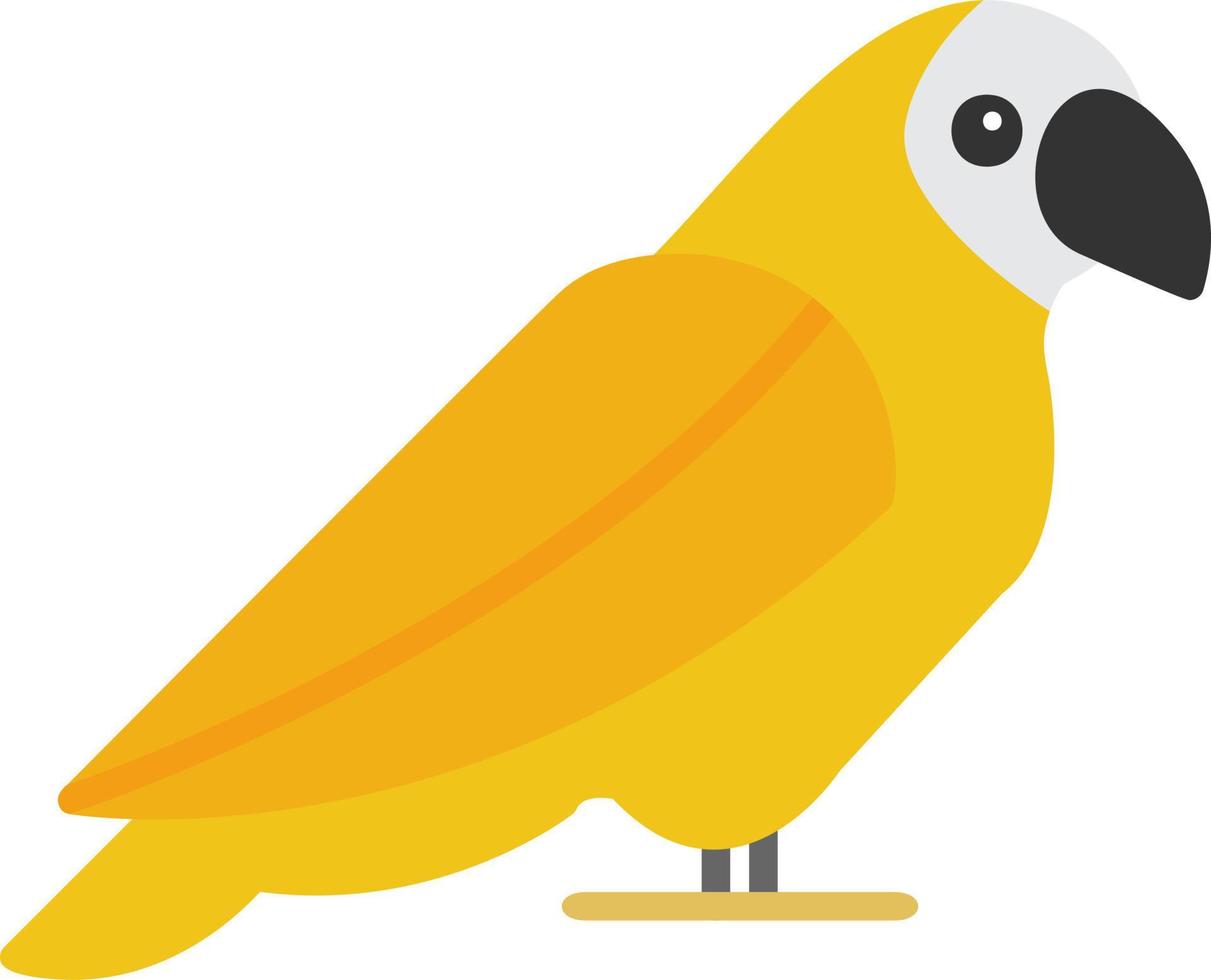 Parrot Vector Icon