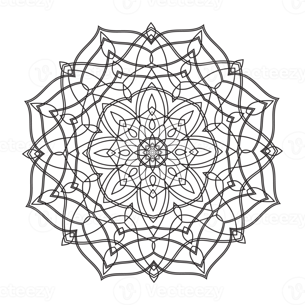 hand- getrokken circulaire bloemen mandala patroon voor henna, mehndi, tatoeëren, decoratie. decoratief ornament in etnisch oosters stijl. schets tekening hand- trek vector anti stress png