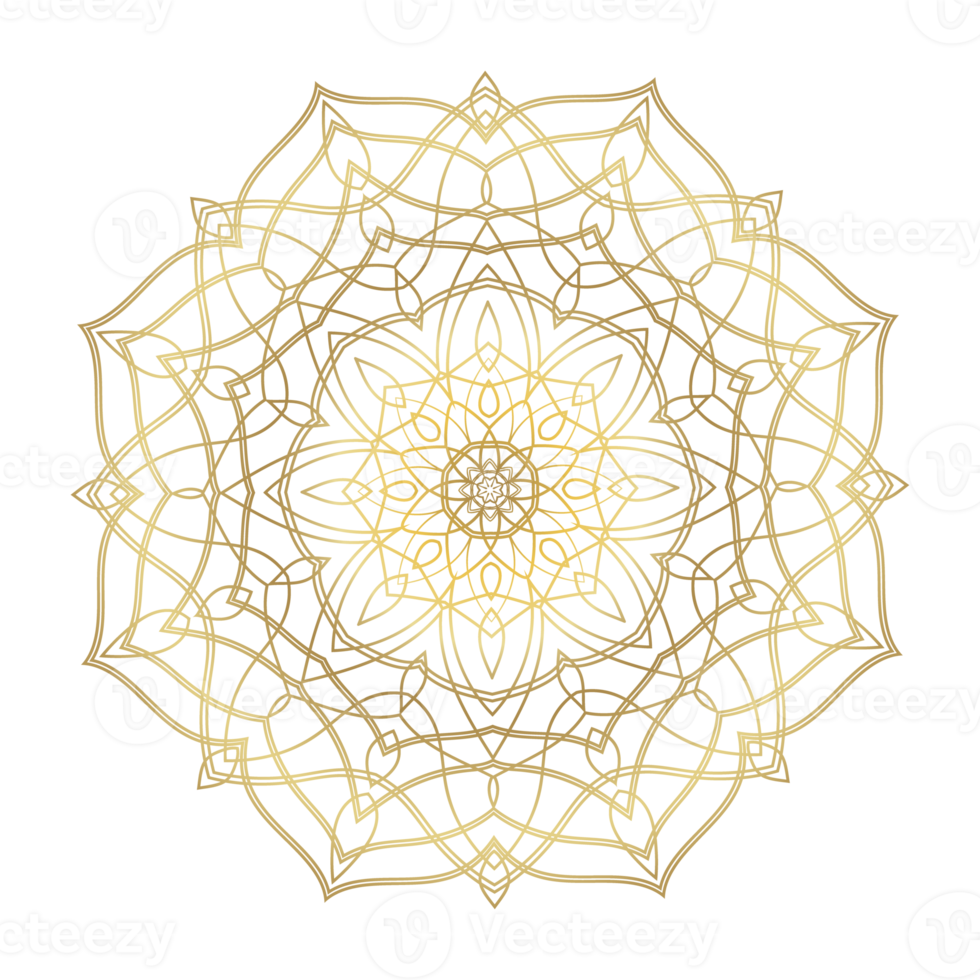 hand- getrokken circulaire bloemen mandala patroon voor henna, mehndi, tatoeëren, decoratie. decoratief ornament in etnisch oosters stijl. schets tekening hand- trek vector anti stress png