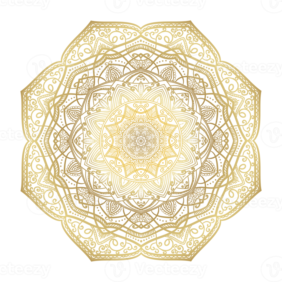 Hand drawn circular floral mandala pattern for Henna, Mehndi, tattoo, decoration. Decorative ornament in ethnic oriental style. Outline doodle hand draw vector anti-stress png