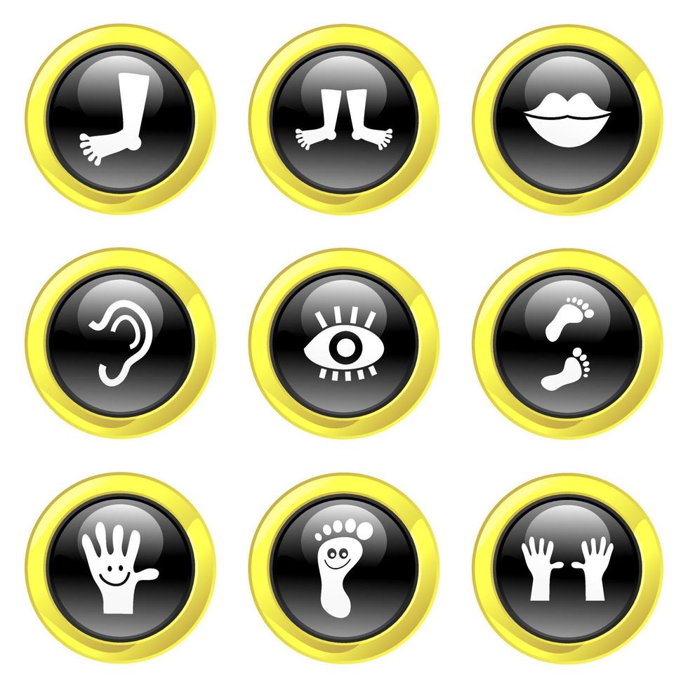 Glassy Black and Gold Anatomy Buttons vector