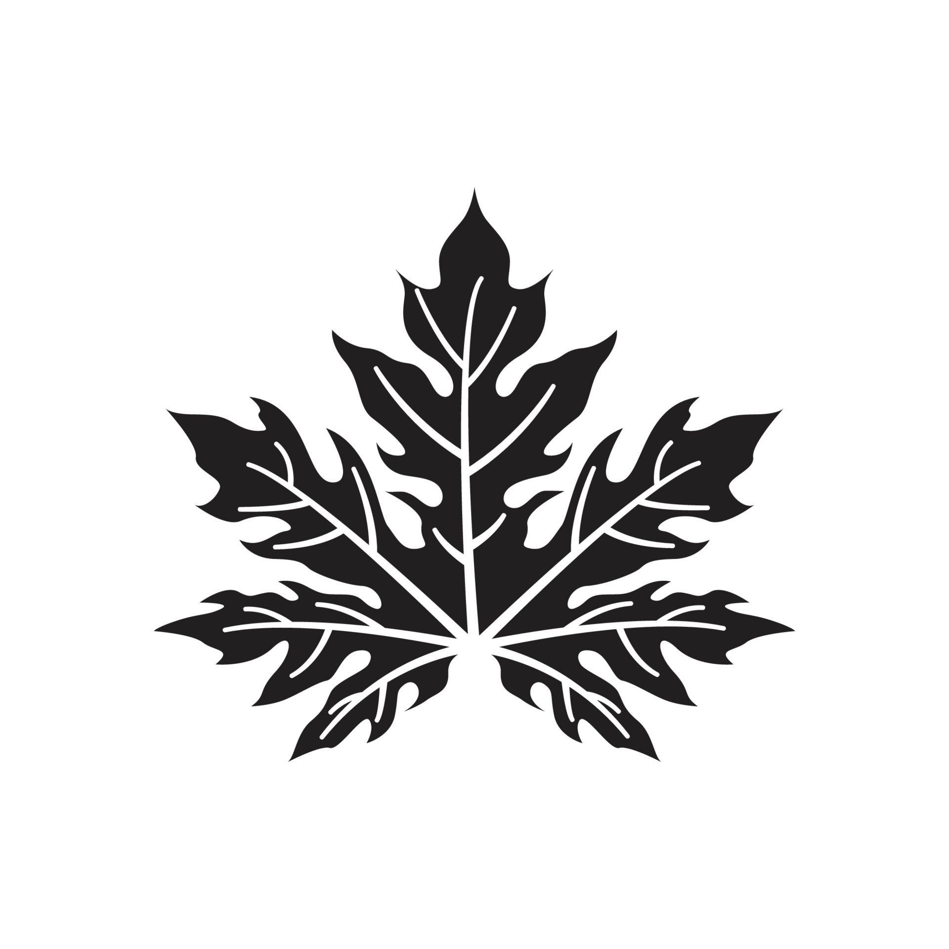 papaya leaf icon 20898678 Vector Art at Vecteezy