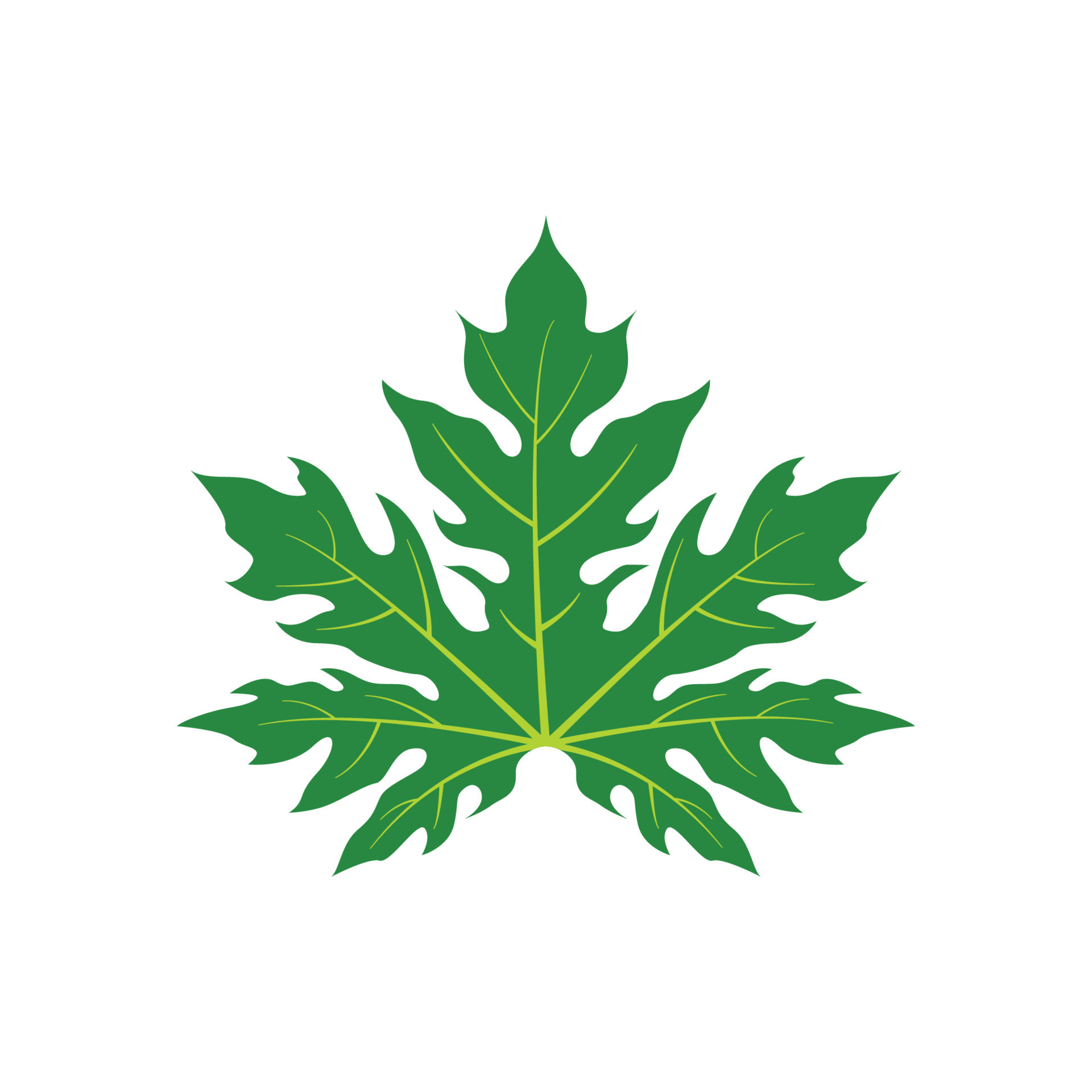 papaya leaf icon 20898680 Vector Art at Vecteezy
