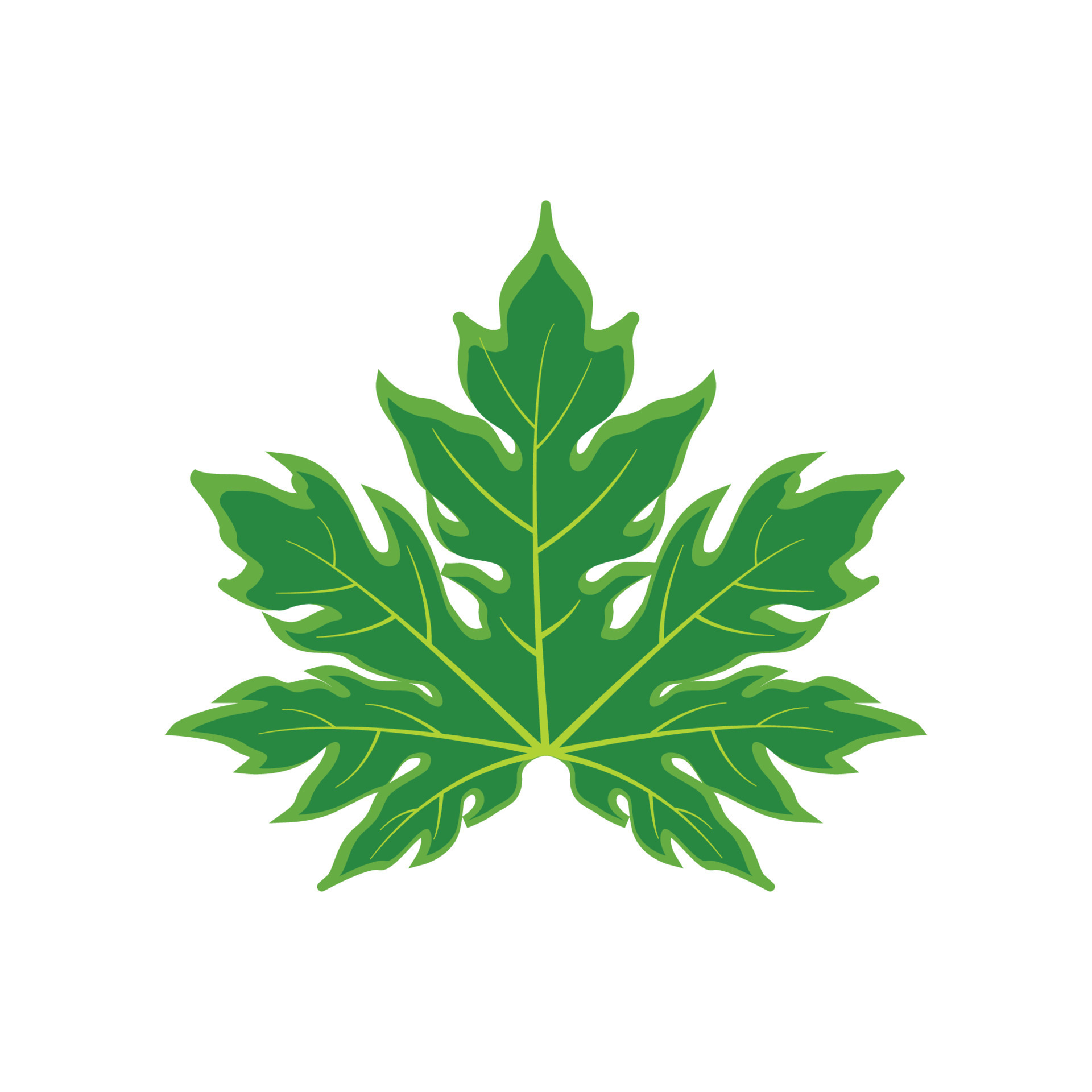 papaya leaf icon 20898683 Vector Art at Vecteezy