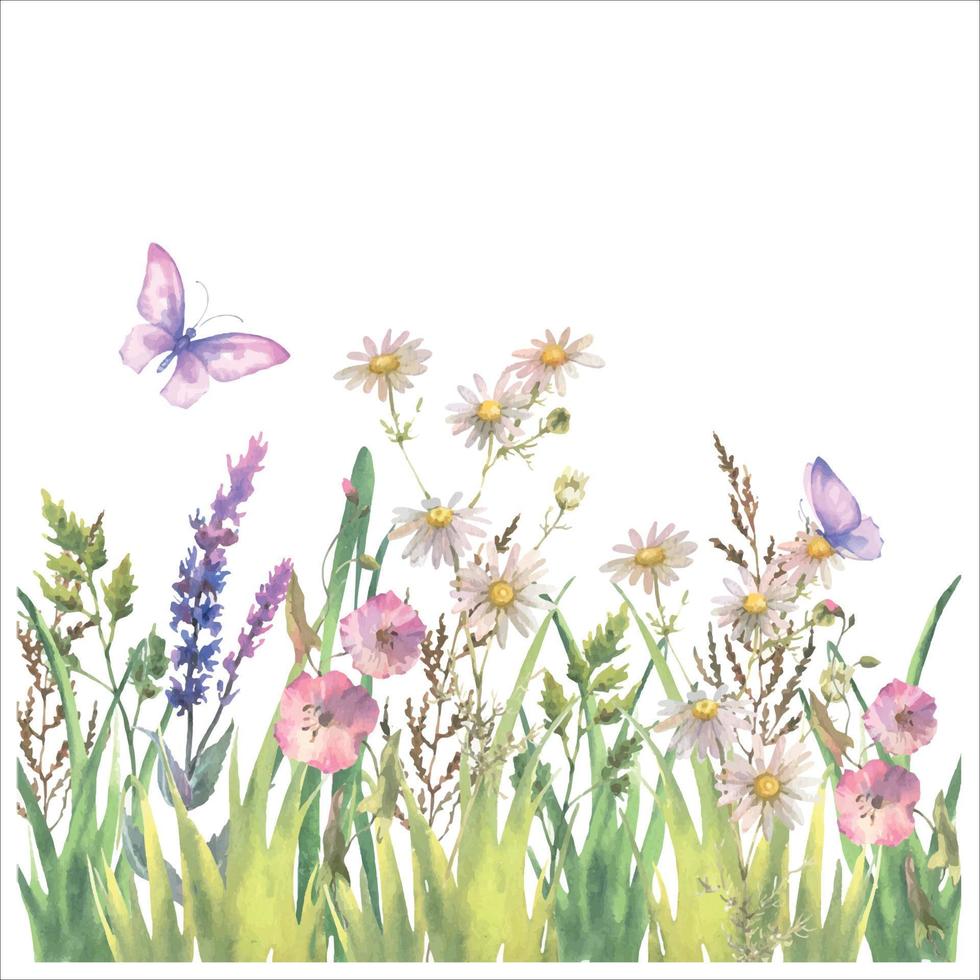 Watercolor vector composition, border with Herbs and wild flowers, leaves, butterflies.