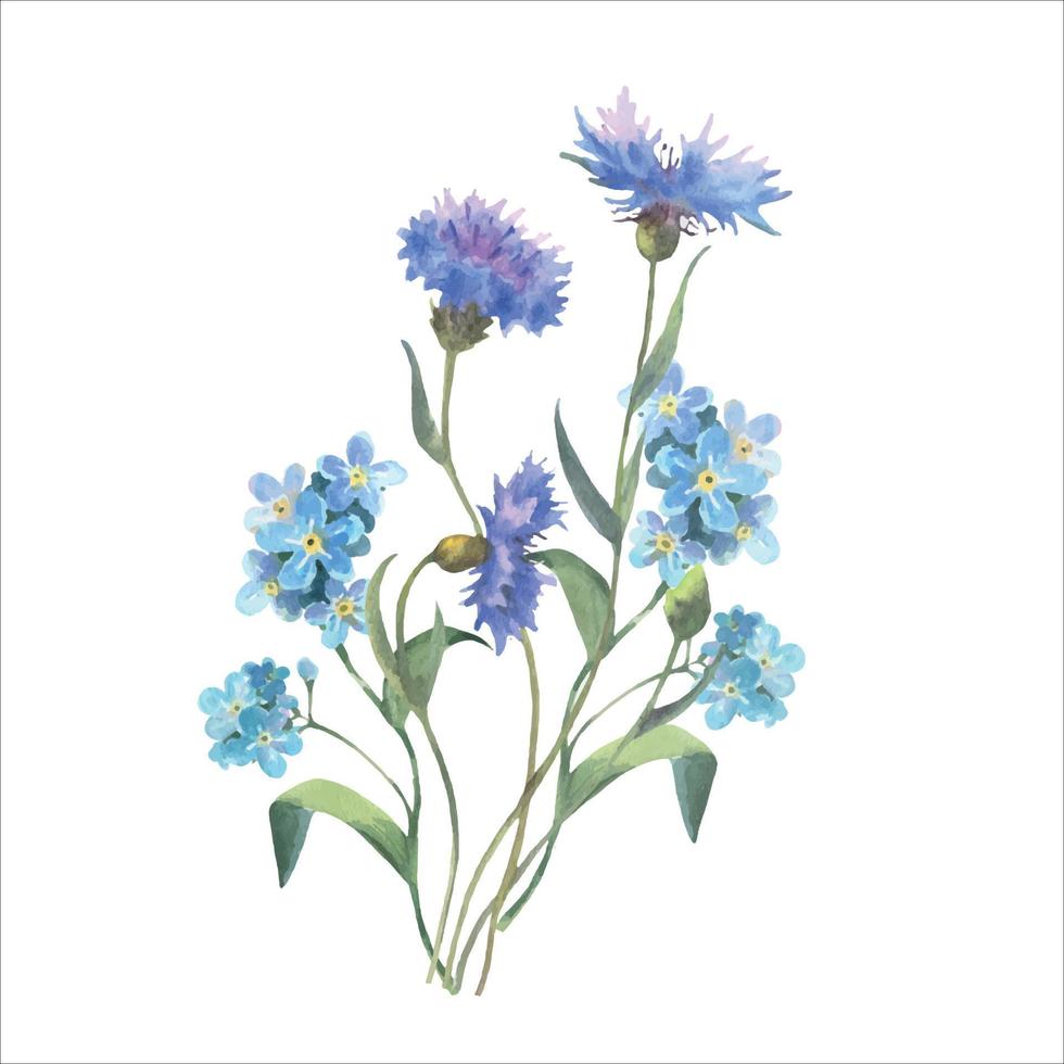 Watercolor vector illustration, bouquet with forget-me-not flowers and cornflowers.